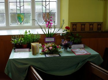Floral display Floral display | Jackie Embury