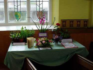 Floral display | Jackie Embury