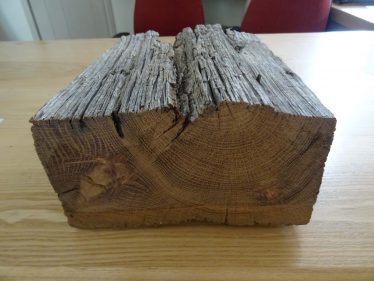 Section of old timber showing the rings Section of old timber showing the rings | We are hoping to use these to find a true date of the first construction of the building