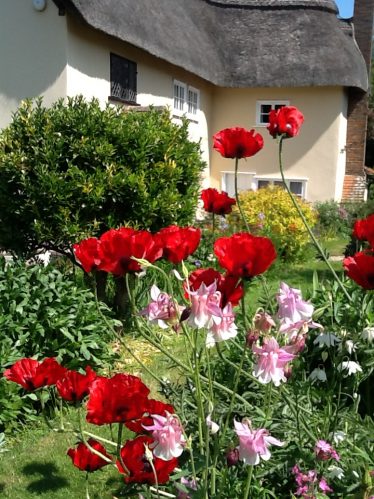 Garden Flowers Garden Flowers | S Greenbank